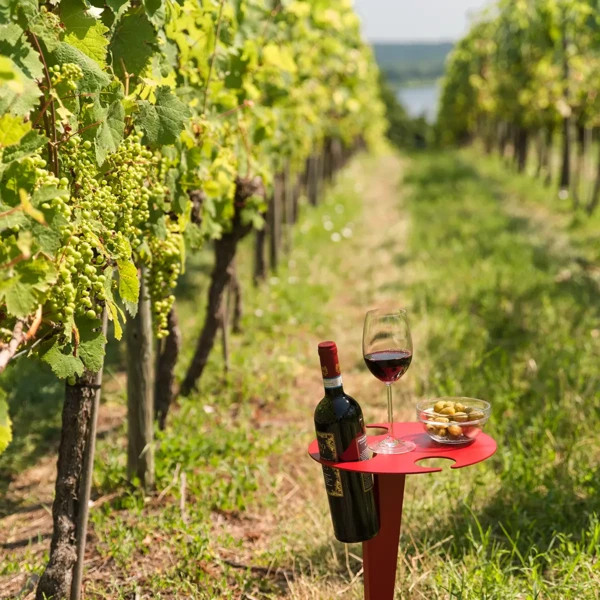 Roter Porto Vino Weintisch im Weinberg mit Weinflasche, Rotweinglas und Oliven
